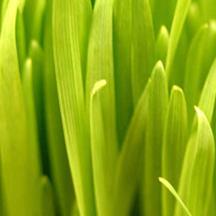 智能监控告警的网页端ddos